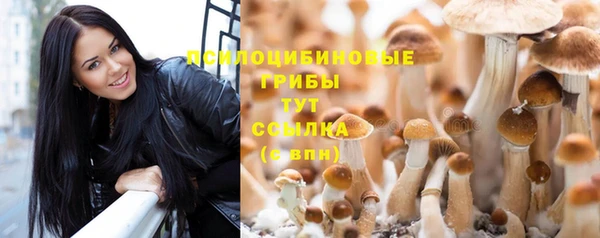шишки Россошь