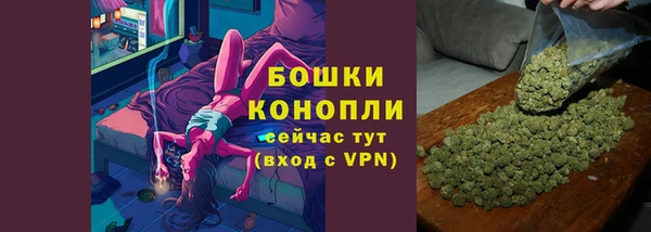 стаф Ростов