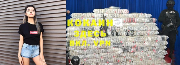 твердый Рославль