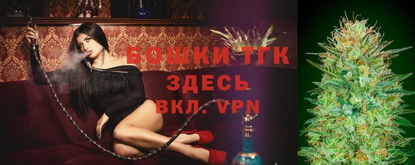 стаф Ростов