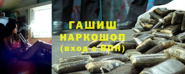 стаф Ростов